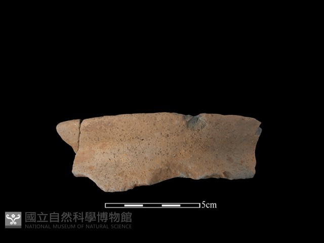 陶罐藏品圖，第1張