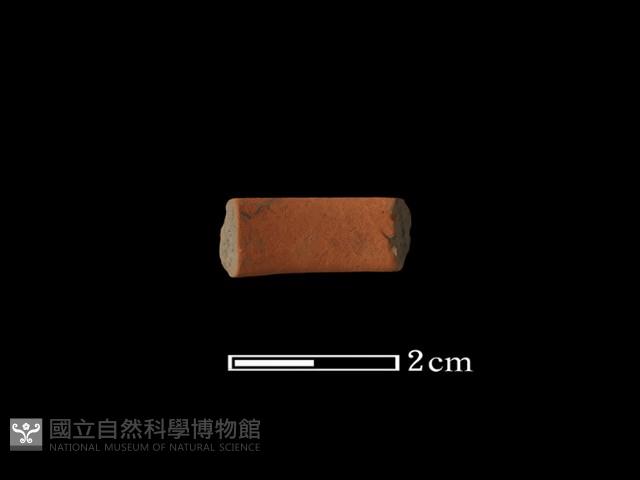 陶環藏品圖，第1張