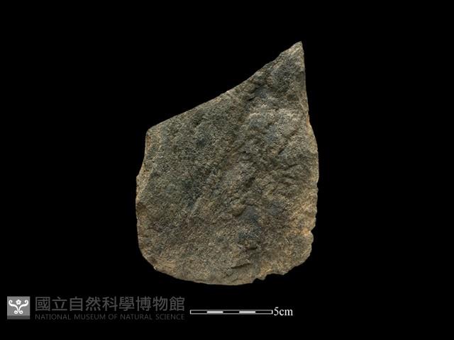 Accession Number:NSKII-2017-093 Collection Image, Figure 2, Total 2 Figures