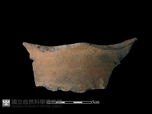 陶片藏品圖，第2張