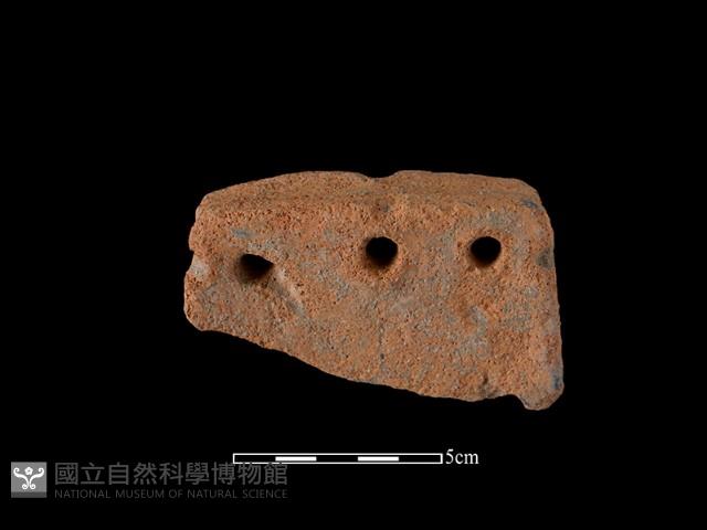 陶片藏品圖，第2張