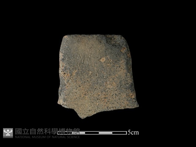 磨製斧鋤形器藏品圖，第1張