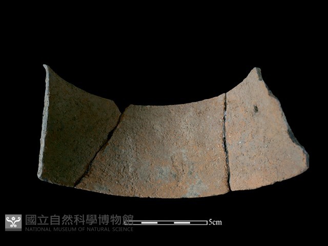 陶片藏品圖，第1張