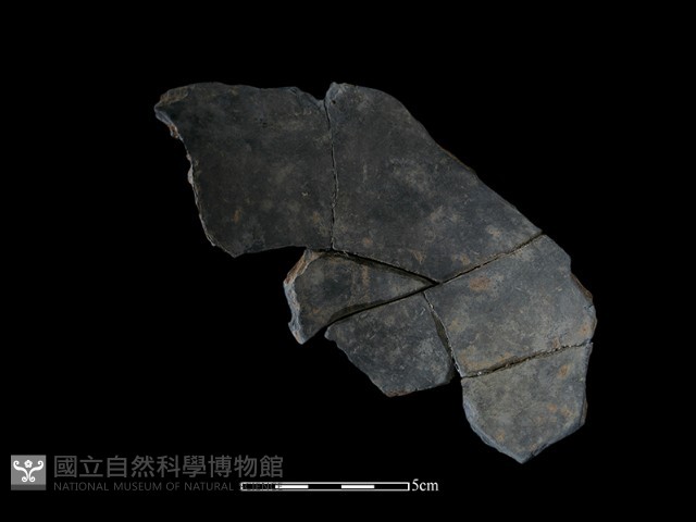陶缽藏品圖，第1張