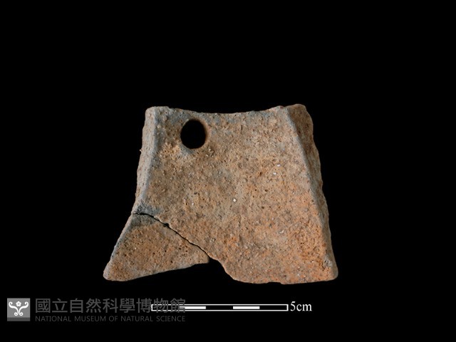 陶片藏品圖，第2張