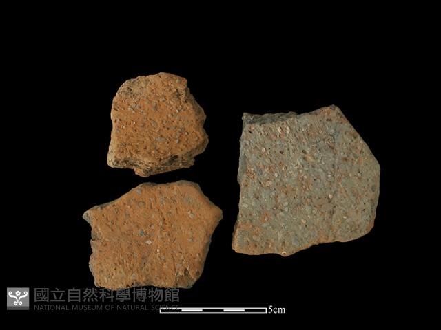 陶片藏品圖，第2張