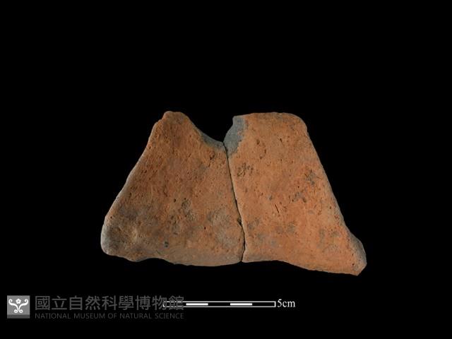 陶罐藏品圖，第1張