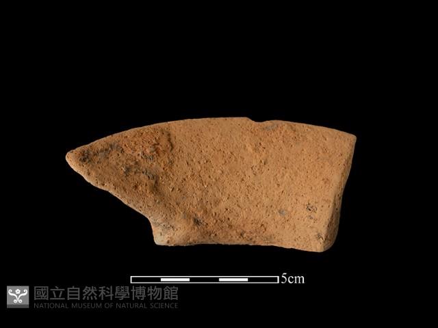 Accession Number:TC-2018-121 Collection Image, Figure 2, Total 2 Figures