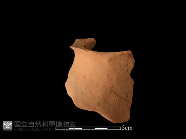 陶片藏品圖，第2張