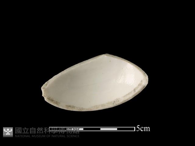 瓷盒藏品圖，第2張