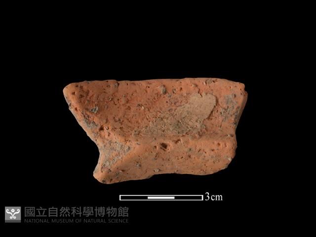 陶罐藏品圖，第2張