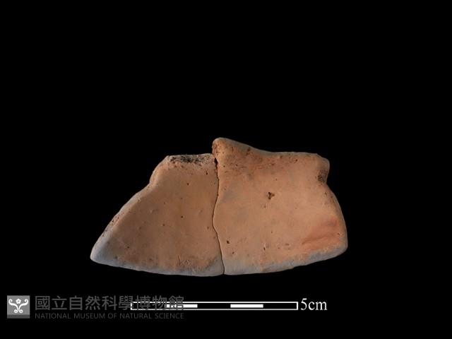 陶片藏品圖，第1張