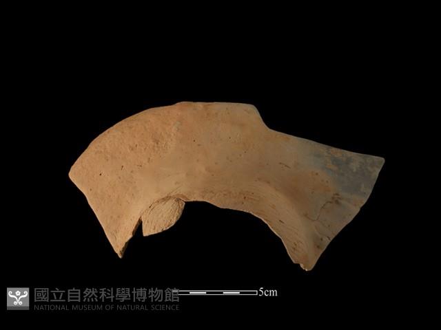 連杯形器藏品圖，第1張