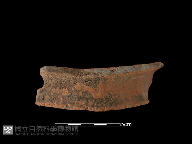 陶片藏品圖，第2張