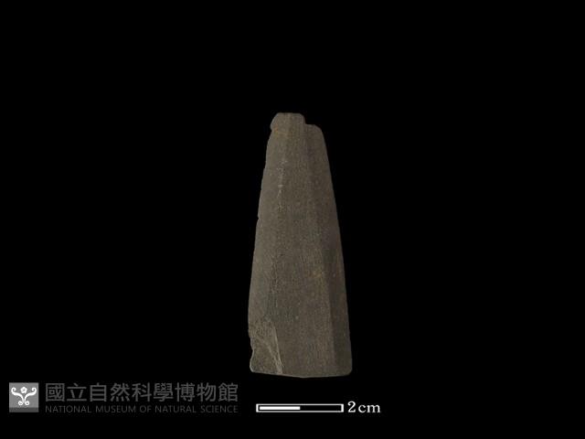 矛鏃形器藏品圖，第2張