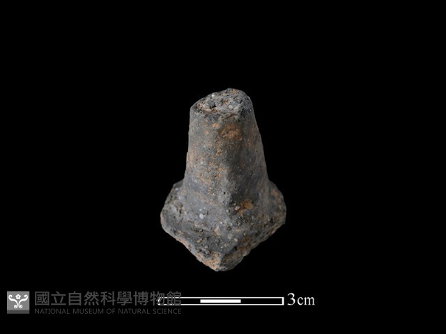 陶蓋鈕藏品圖，第2張