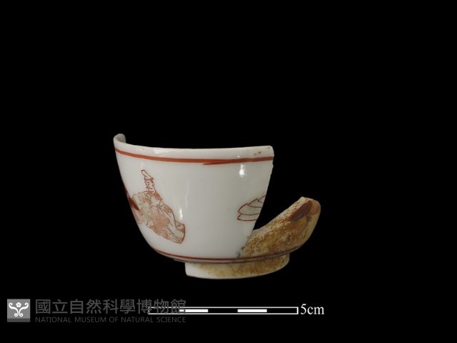 瓷杯藏品圖，第2張
