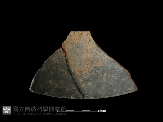 陶片藏品圖，第2張