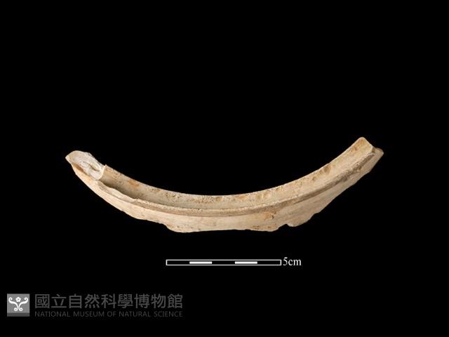 陶片藏品圖，第2張