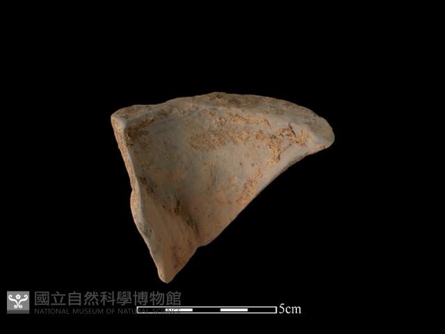 陶片藏品圖，第1張