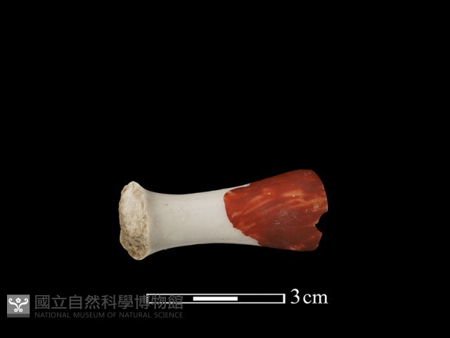 瓷把藏品圖，第2張