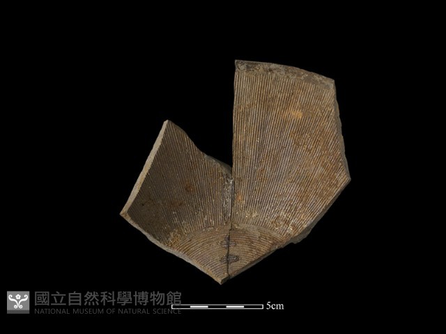 陶缽藏品圖，第2張