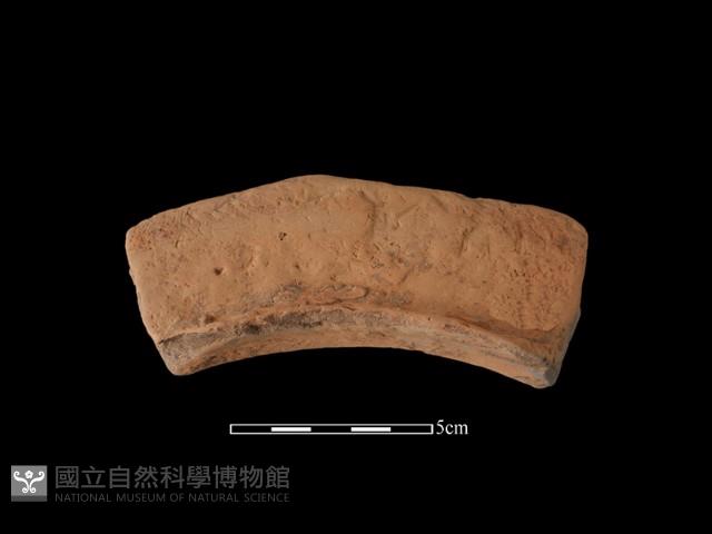 連杯形器藏品圖，第1張