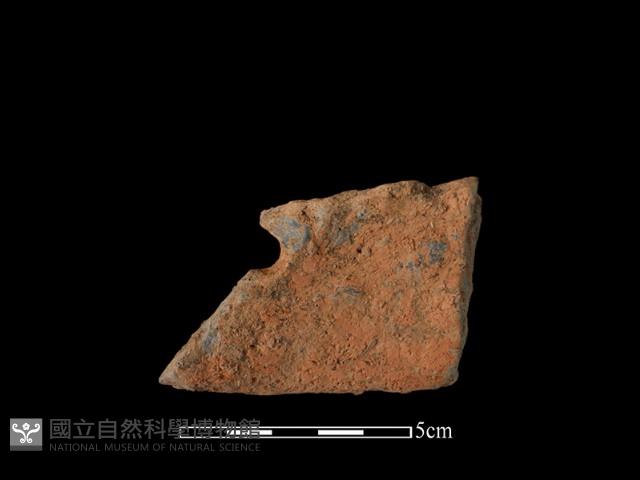 陶片藏品圖，第2張