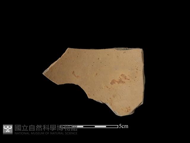 陶缽藏品圖，第2張