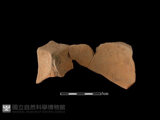 連杯形器藏品圖，第3張