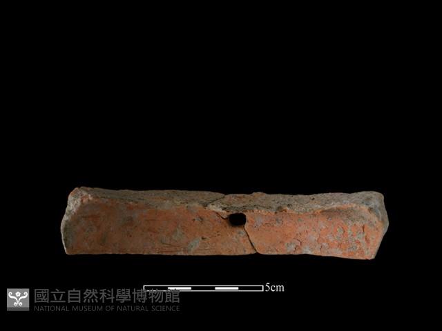 陶片藏品圖，第1張