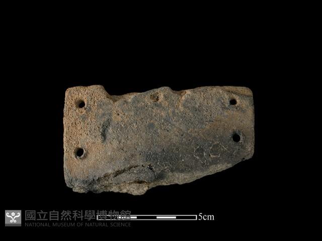 陶片藏品圖，第1張