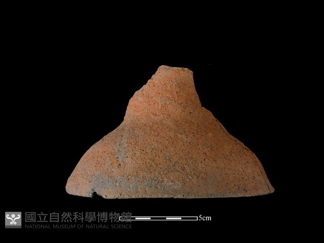 陶片藏品圖，第3張