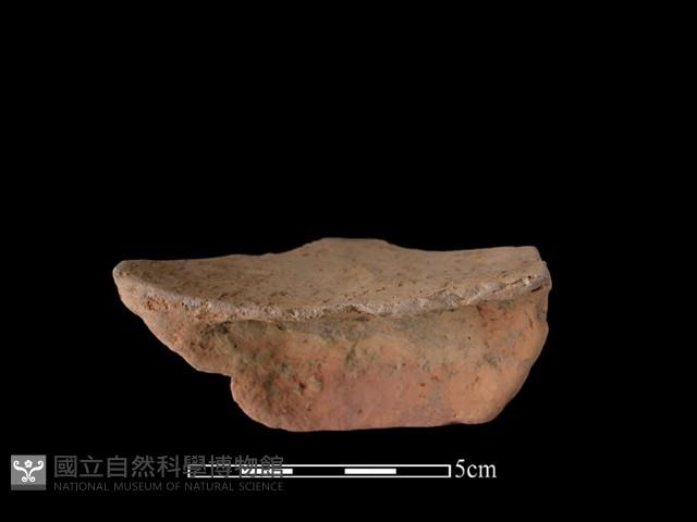 陶片藏品圖，第2張