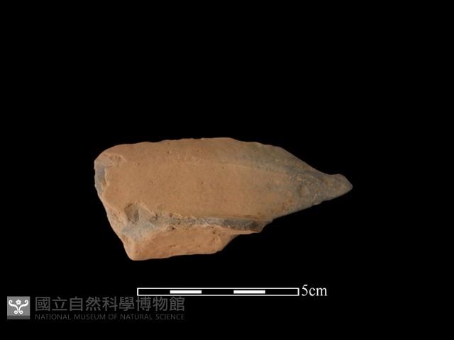 連杯形器藏品圖，第1張