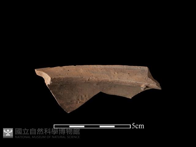 硬陶片藏品圖，第1張