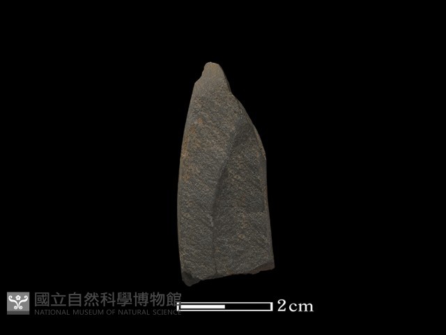 矛鏃形器藏品圖，第1張