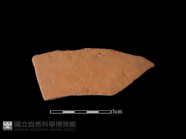 連杯形器藏品圖，第1張