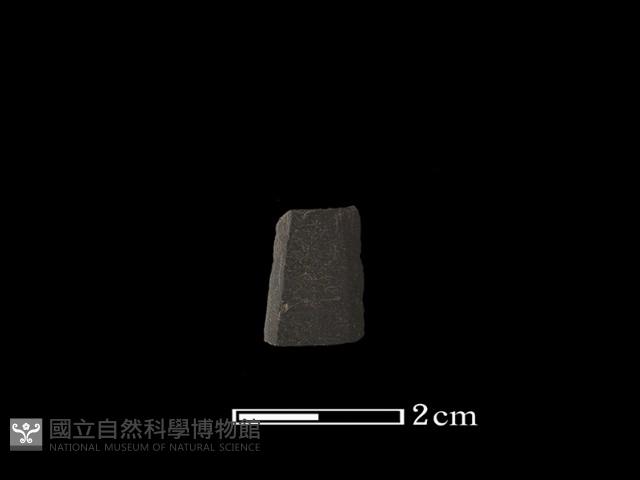 矛鏃形器藏品圖，第1張