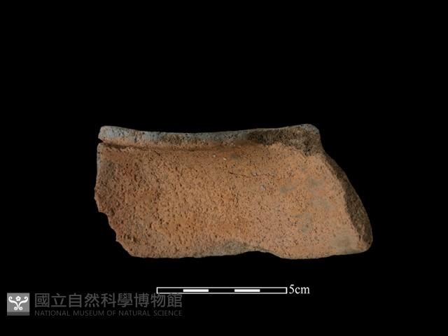 陶片藏品圖，第2張