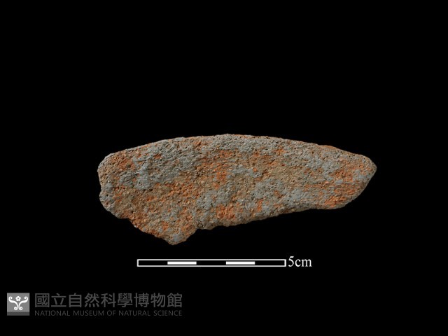 陶片藏品圖，第2張