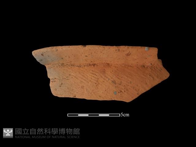 連杯形器藏品圖，第2張