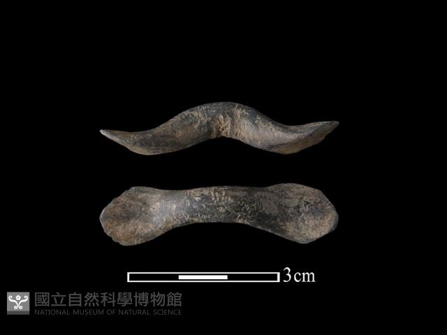 陶鈕藏品圖，第2張