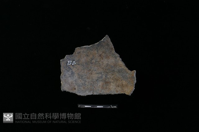 陶片藏品圖，第2張