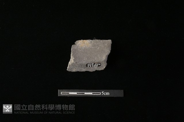 陶罐藏品圖，第2張