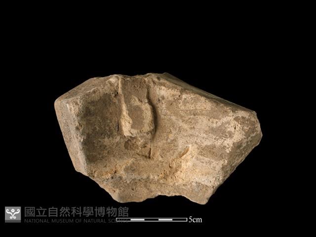 火爐藏品圖，第1張