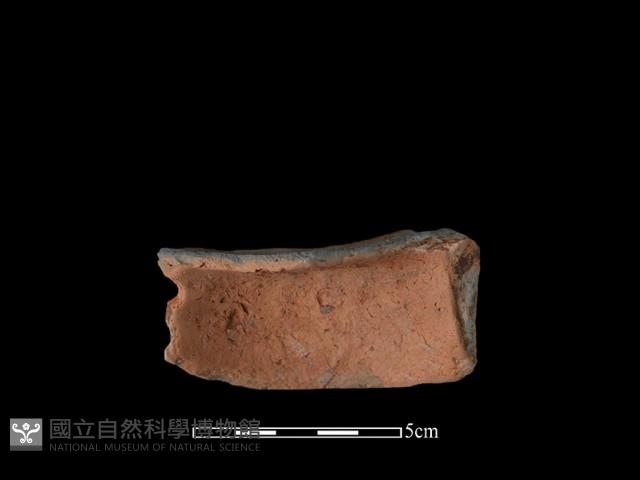 陶片藏品圖，第2張