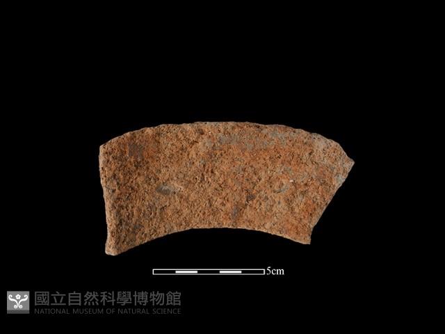 陶罐藏品圖，第1張