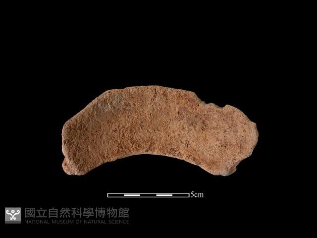 陶罐藏品圖，第2張