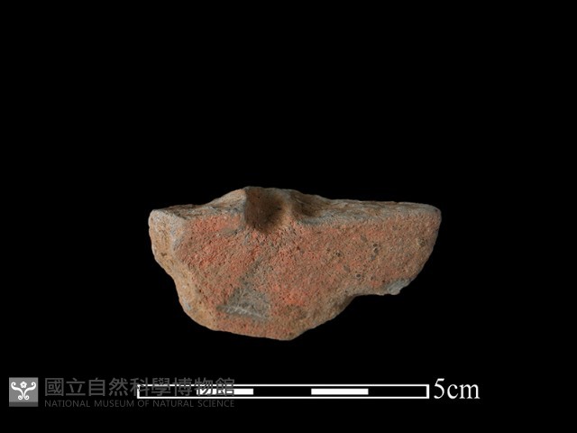 紡輪藏品圖，第2張
